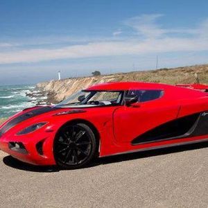 Meet your Posher, Riley